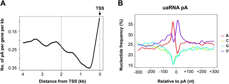 Figure 4—figure supplement 2.