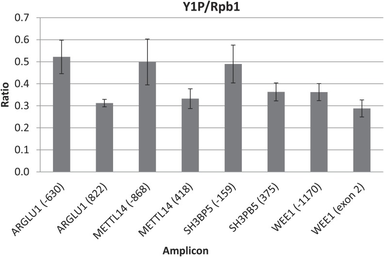 Figure 4—figure supplement 6.