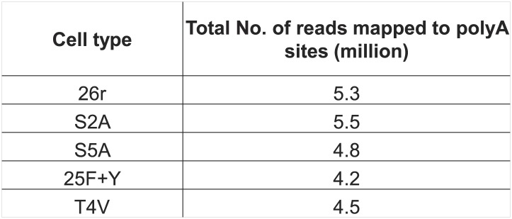 Figure 4—figure supplement 1.