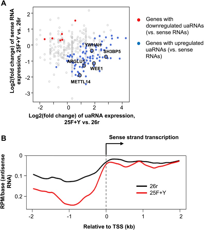 Figure 4—figure supplement 3.