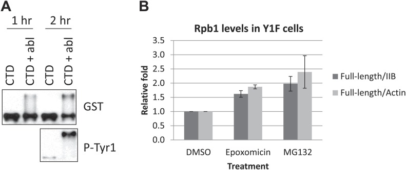 Figure 3—figure supplement 1.