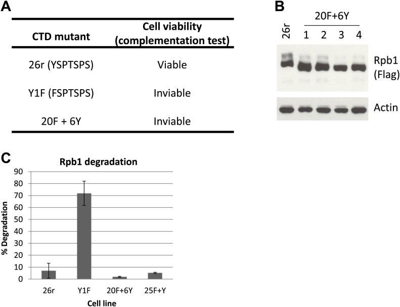 Figure 1—figure supplement 1.