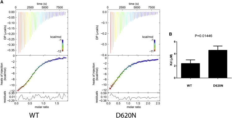 Figure 4