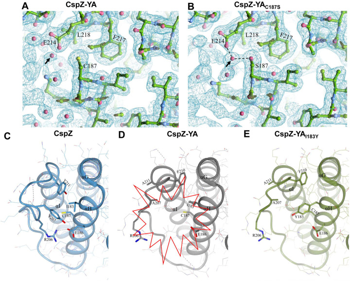 Figure 5.