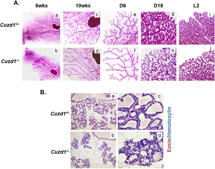 Fig 2