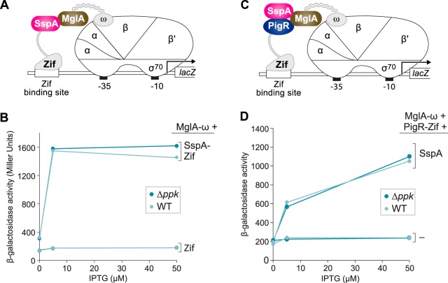 FIG 3