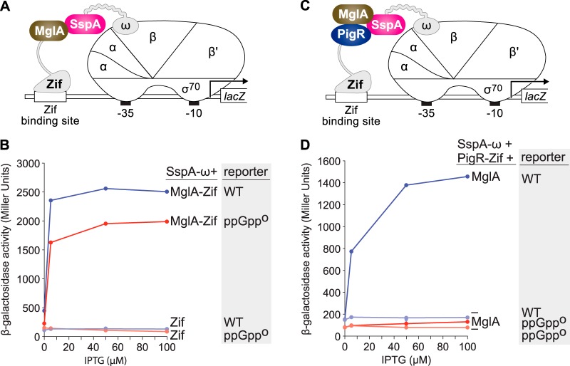 FIG 2