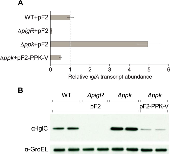 FIG 4