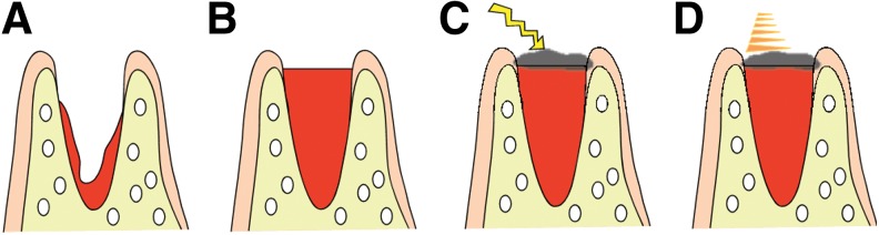 FIG. 1.