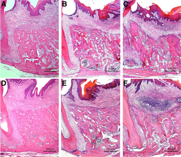 FIG. 6.