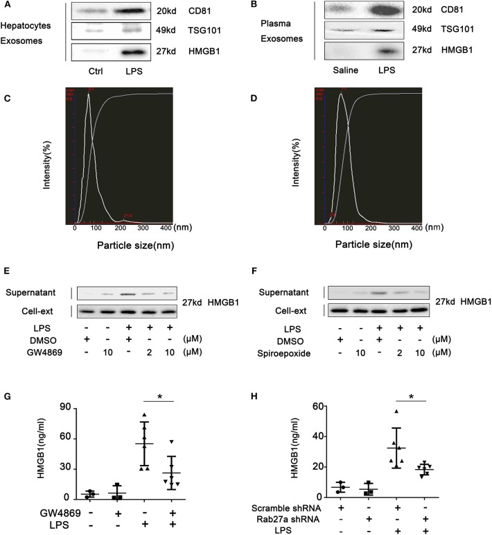 LPS Induces Active HMGB1 Release From Hepatocytes Into Exosomes Through ...