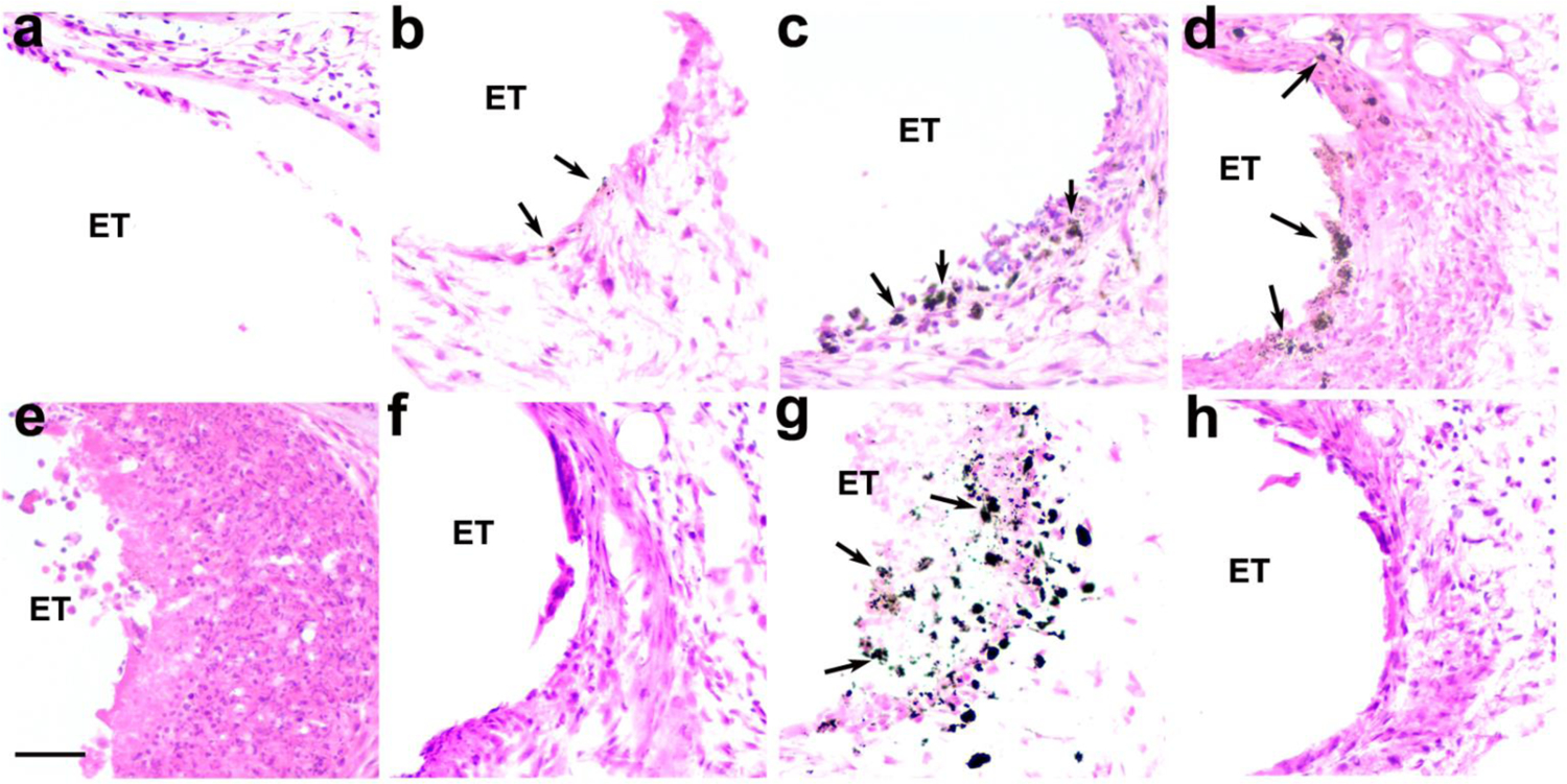 Figure 11.