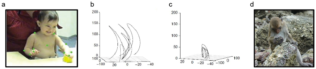 Fig 2.