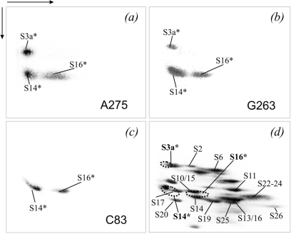 Figure 5.