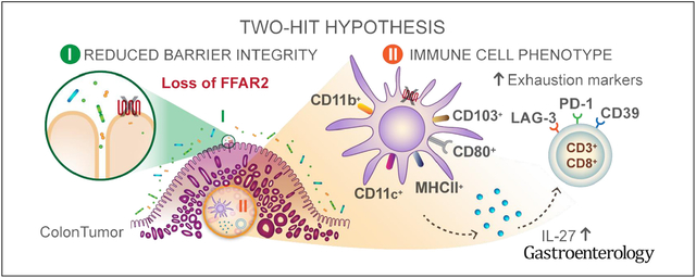 graphic file with name nihms-1589843-f0001.jpg