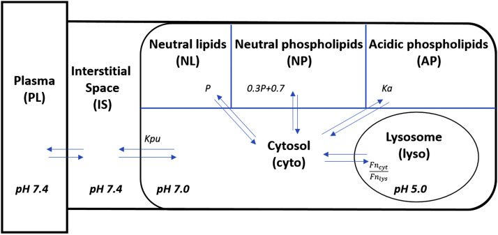 Fig. 2.