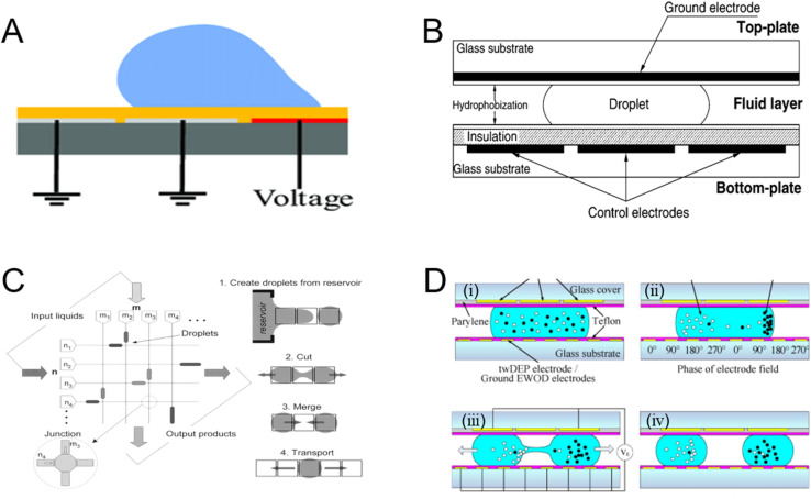 Fig. 15