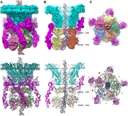 Fig. 4