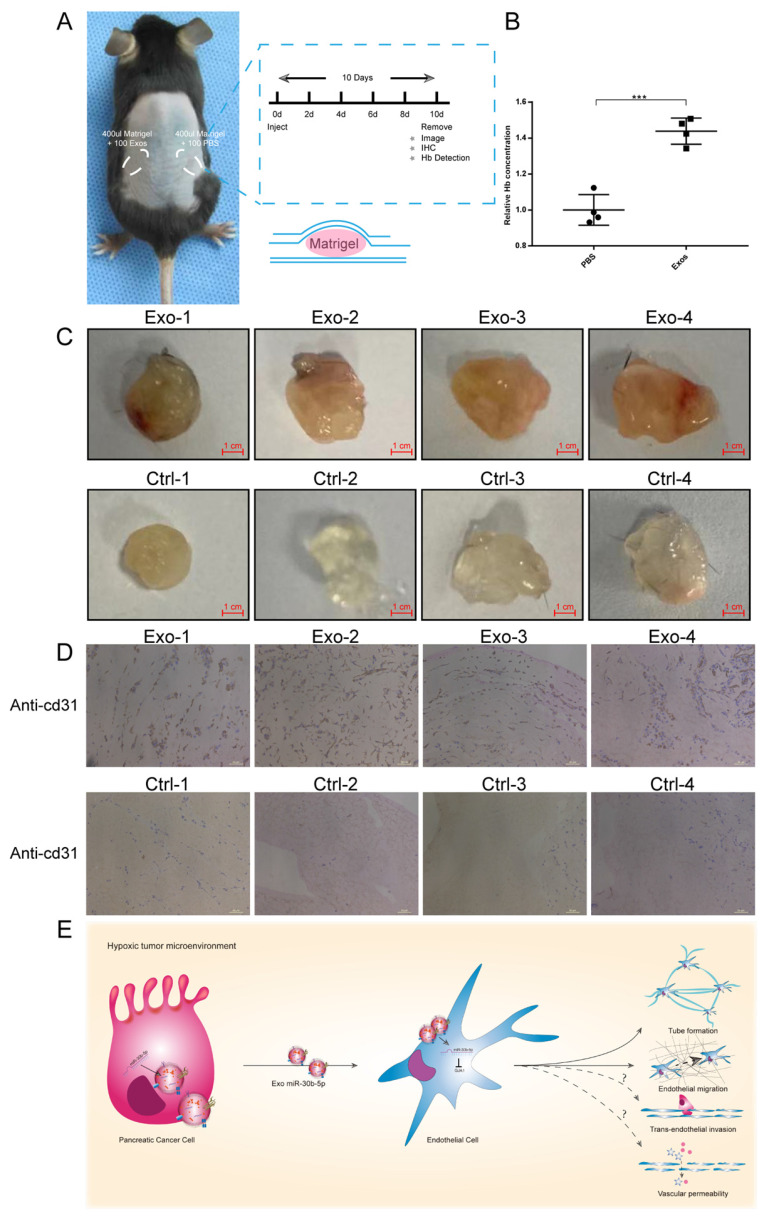 Fig 8