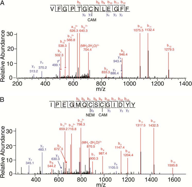 FIGURE 6.