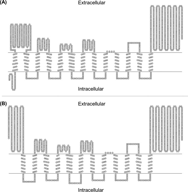 FIGURE 1.