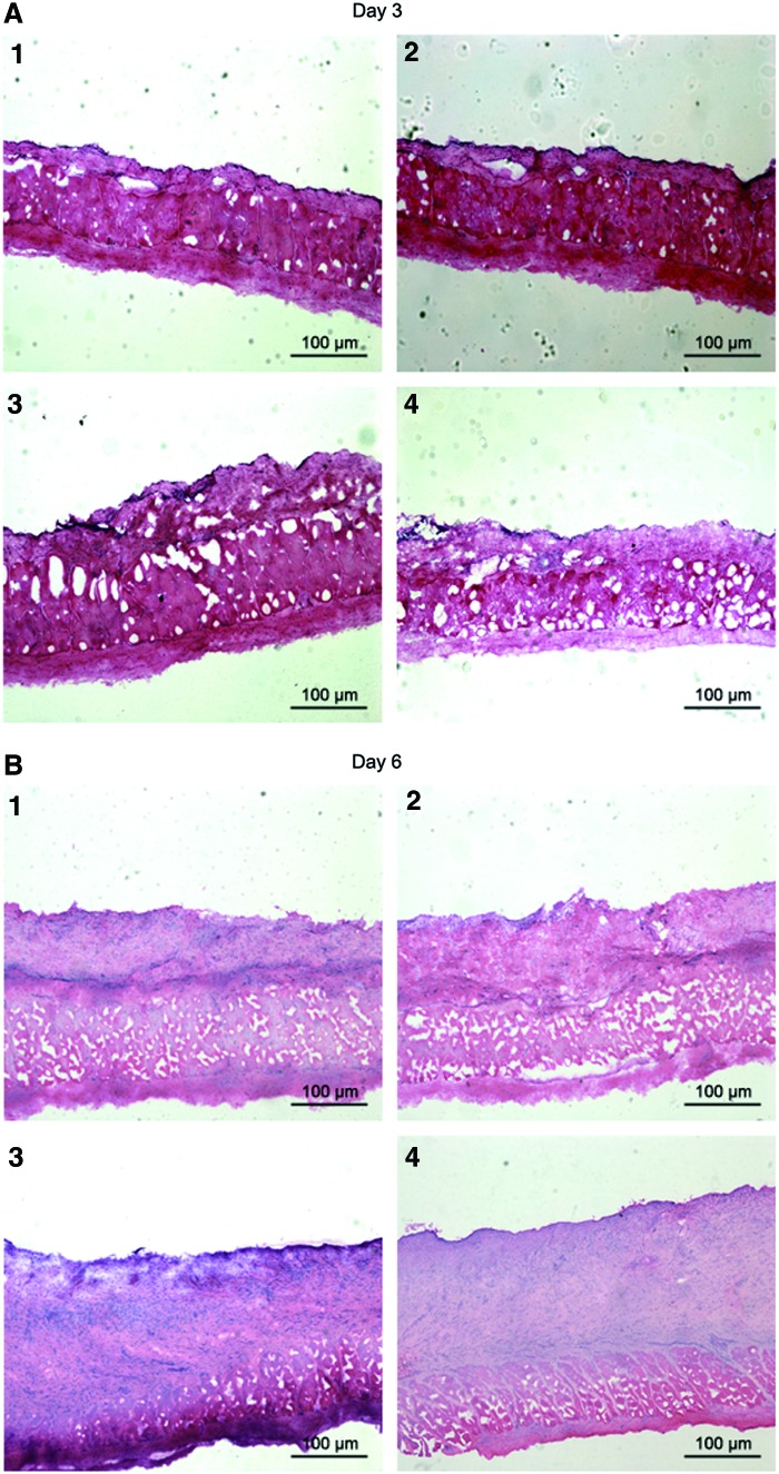 FIG. 5.