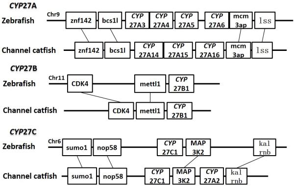 Figure 14