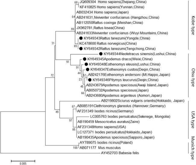 Fig 1