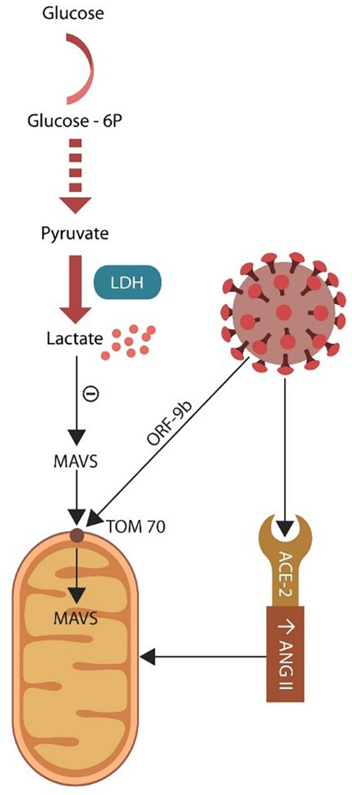 FIGURE 4