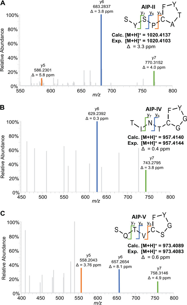 FIG 3