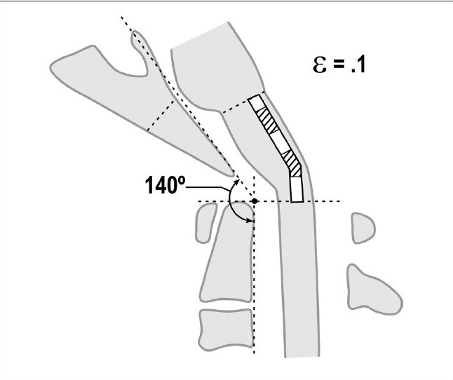 Figure 5b