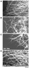 Fig. 8