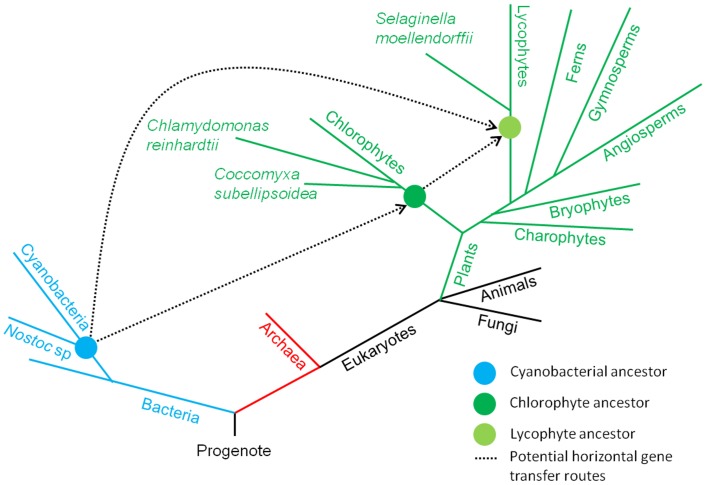 Fig 7