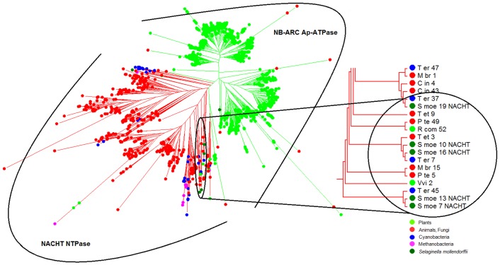 Fig 2