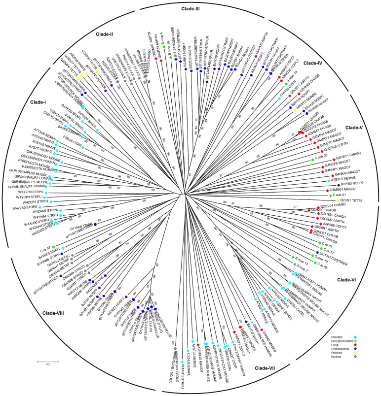 Fig 6