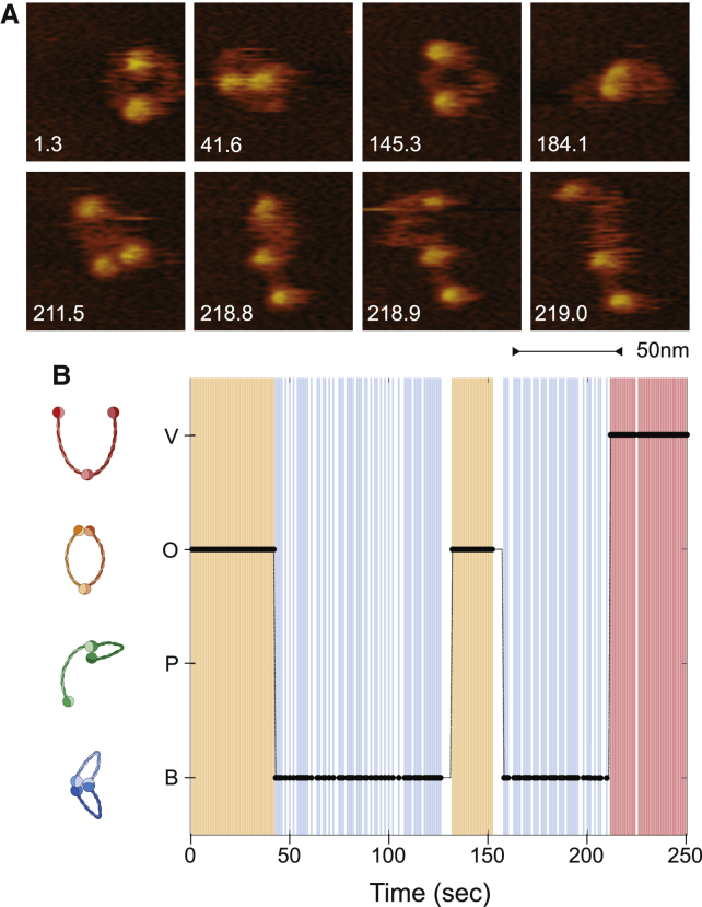 Figure 2