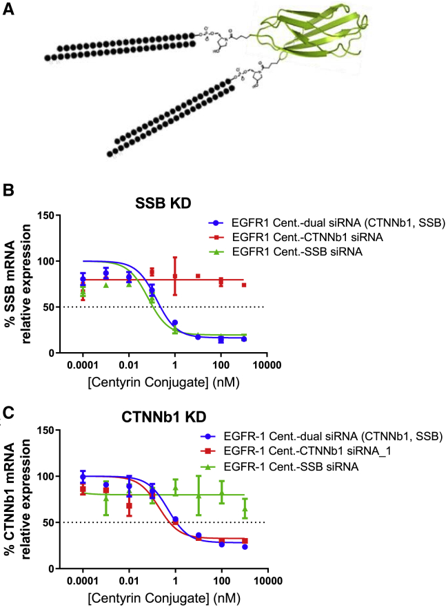 Figure 6