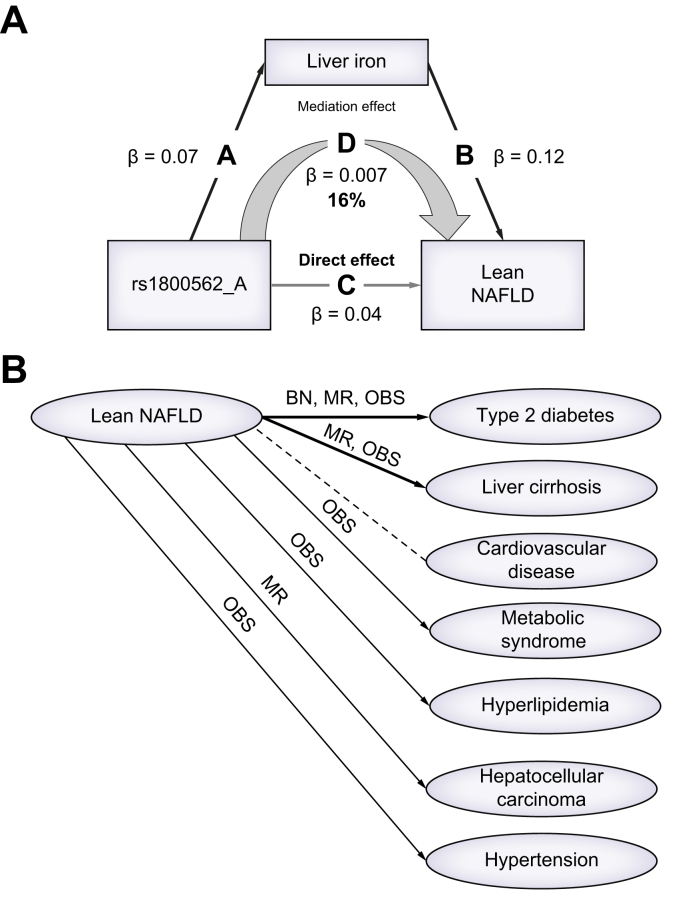 Fig. 5