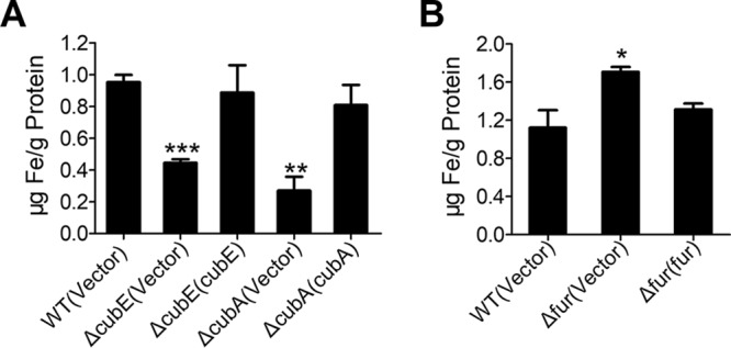 FIG 6