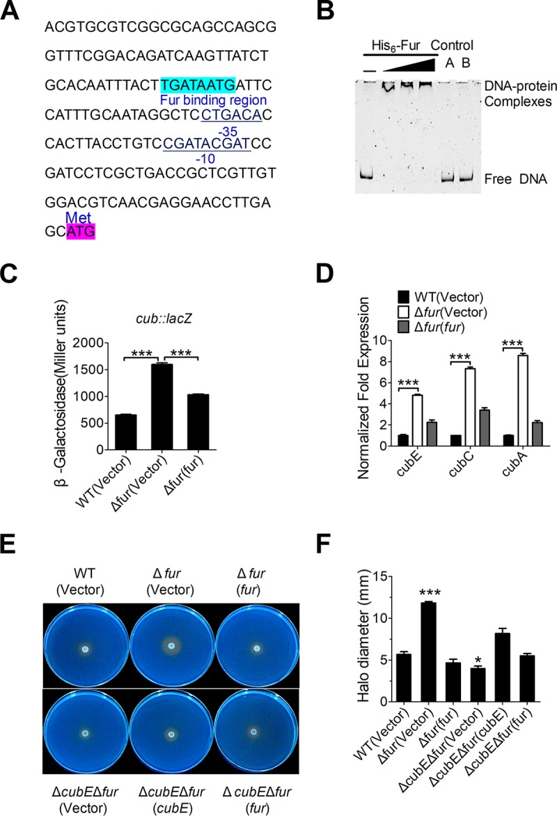 FIG 3