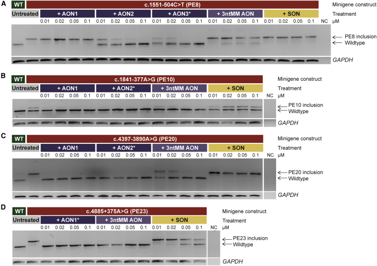 Figure 3