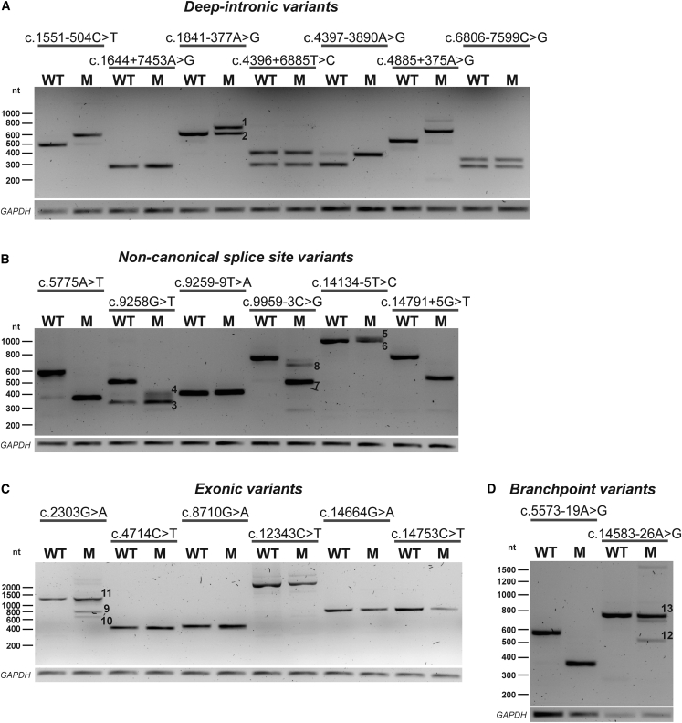 Figure 2