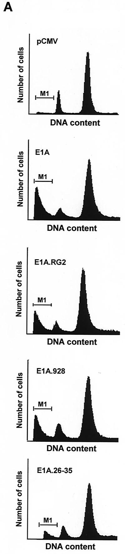 FIG. 6