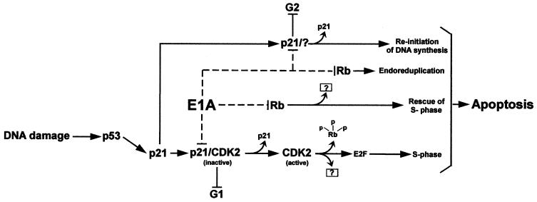 FIG. 8