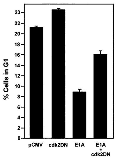 FIG. 5