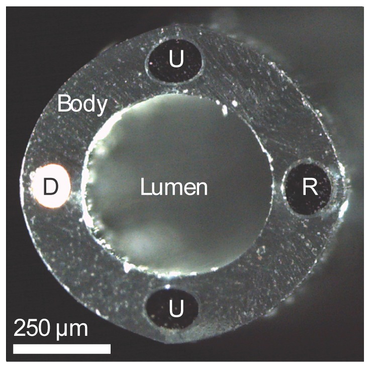 Fig. 2