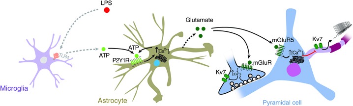 Figure 13