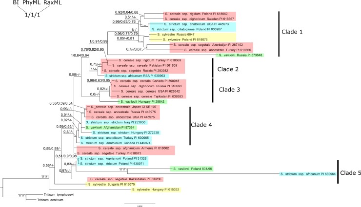 Fig 3