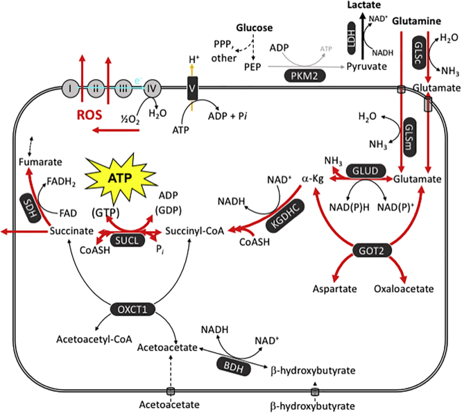 Figure 4