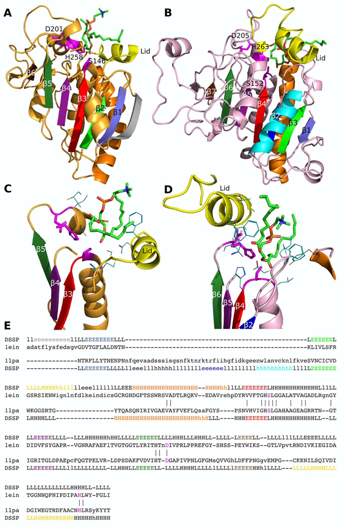 Fig 6.